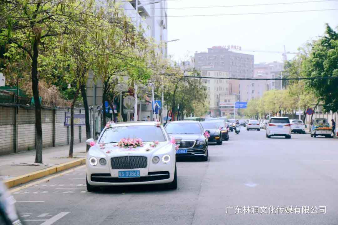 摩登7娱乐官方网站图片